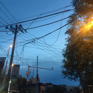 国产精品日韩无码一本
